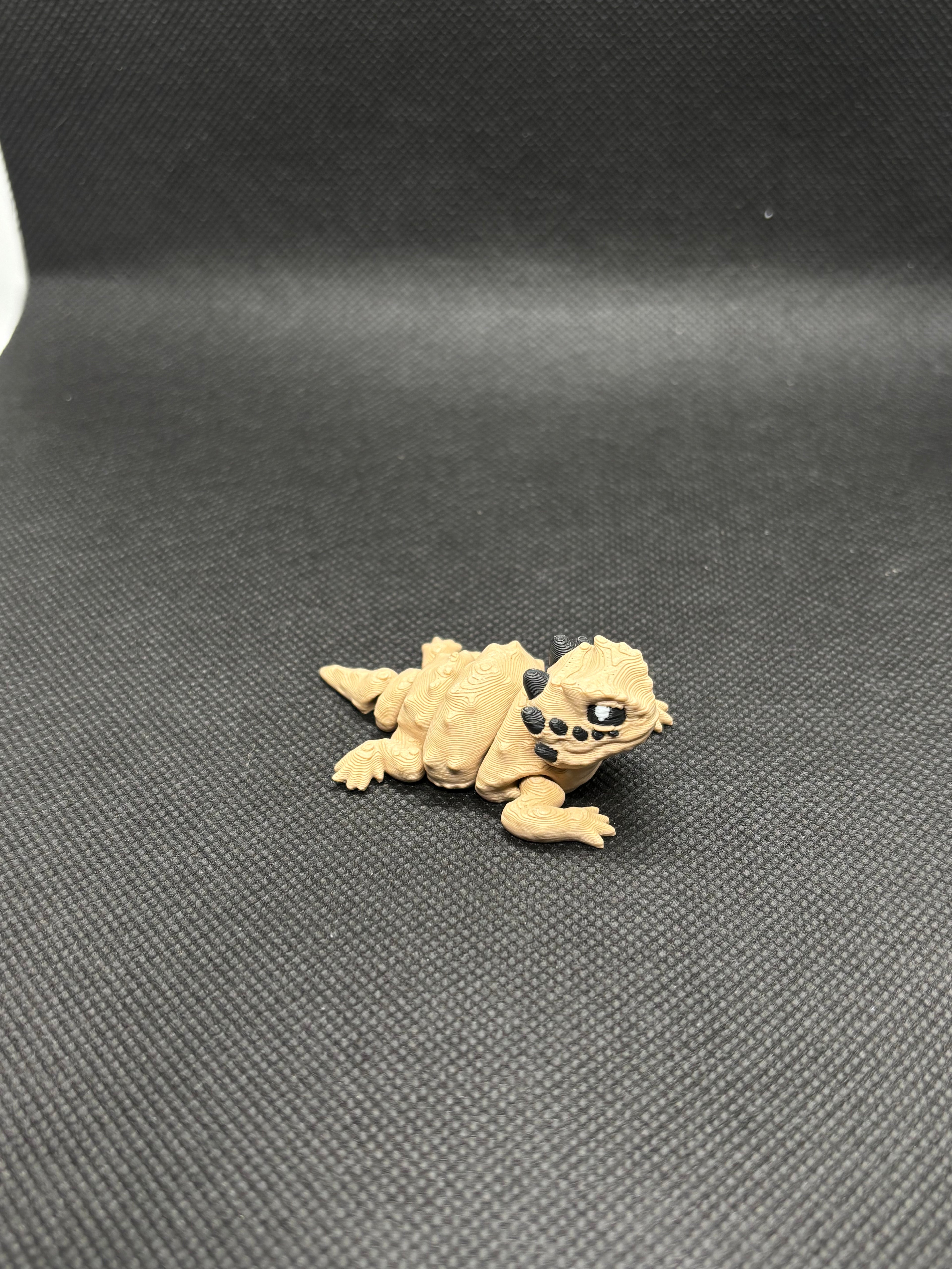 Mini Horned Lizard