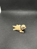 Small Horned Lizard