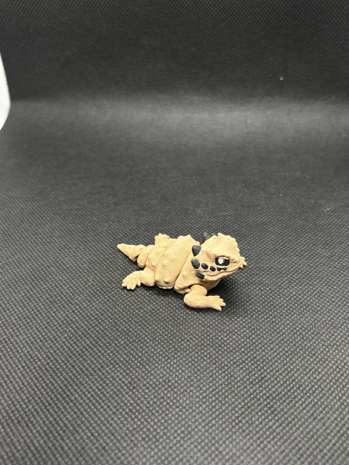 Small Horned Lizard