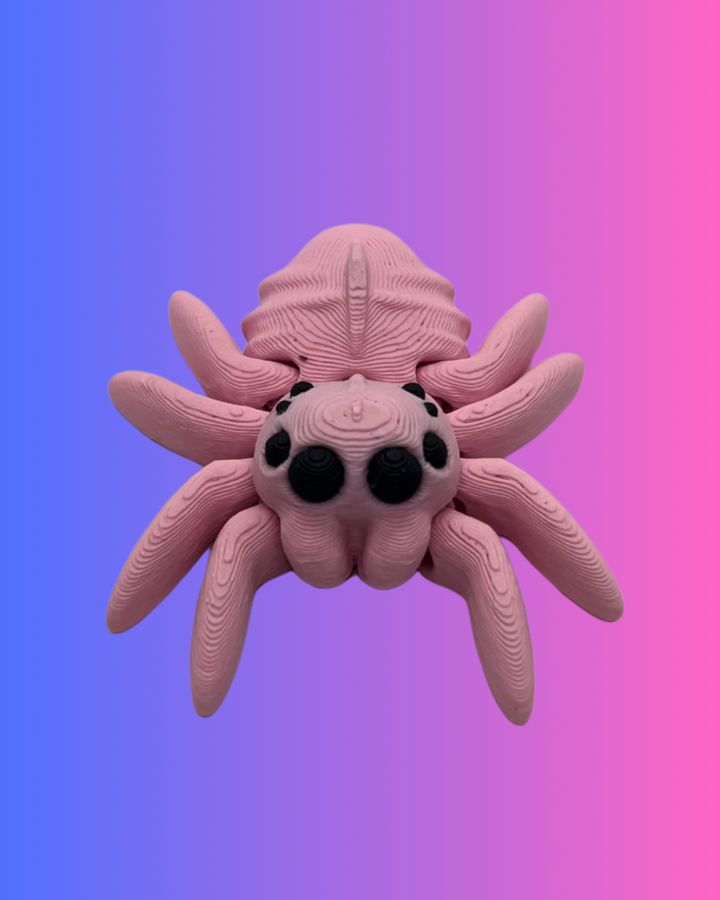 Small Color Spider