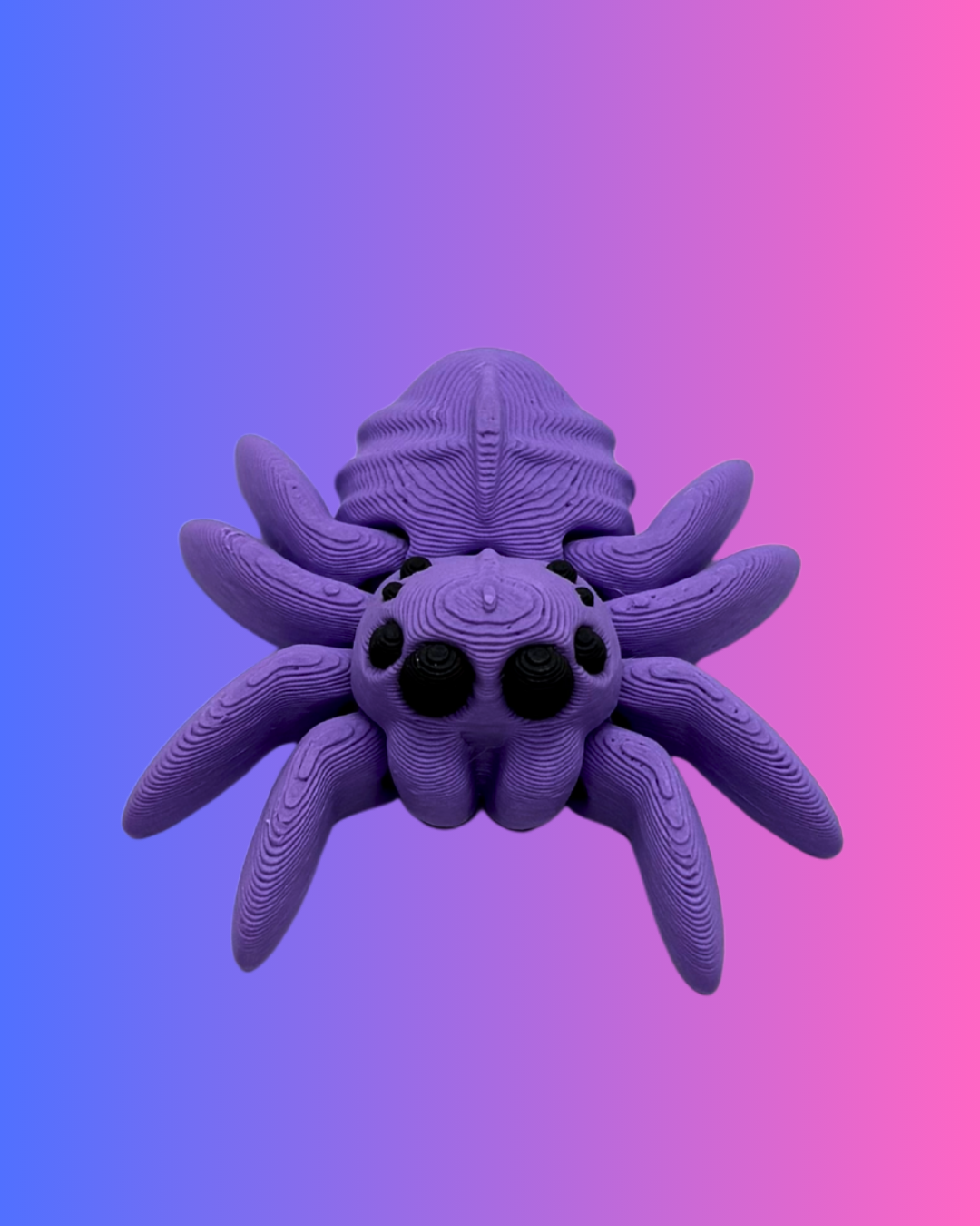 Small Color Spider