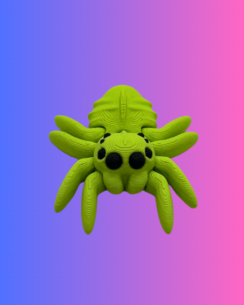 Small Color Spider