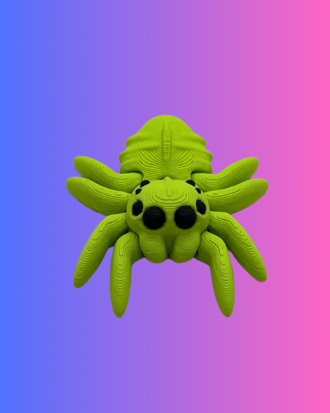 Small Color Spider