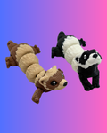Small Ferret