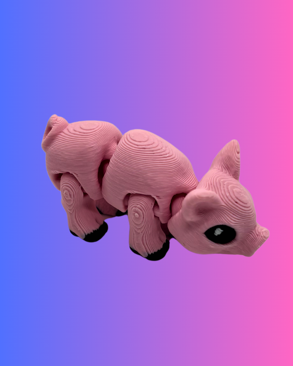 Mini Pig