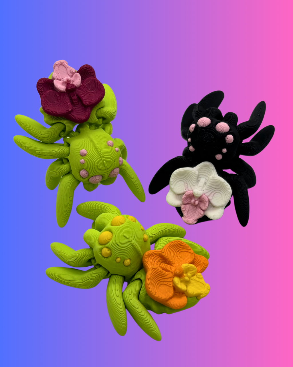 Mini Orchid Spider
