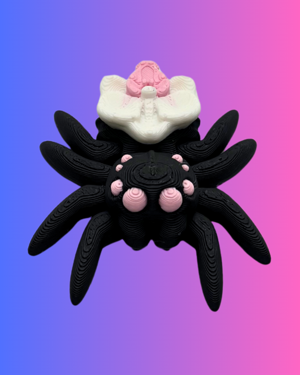 Mini Orchid Spider