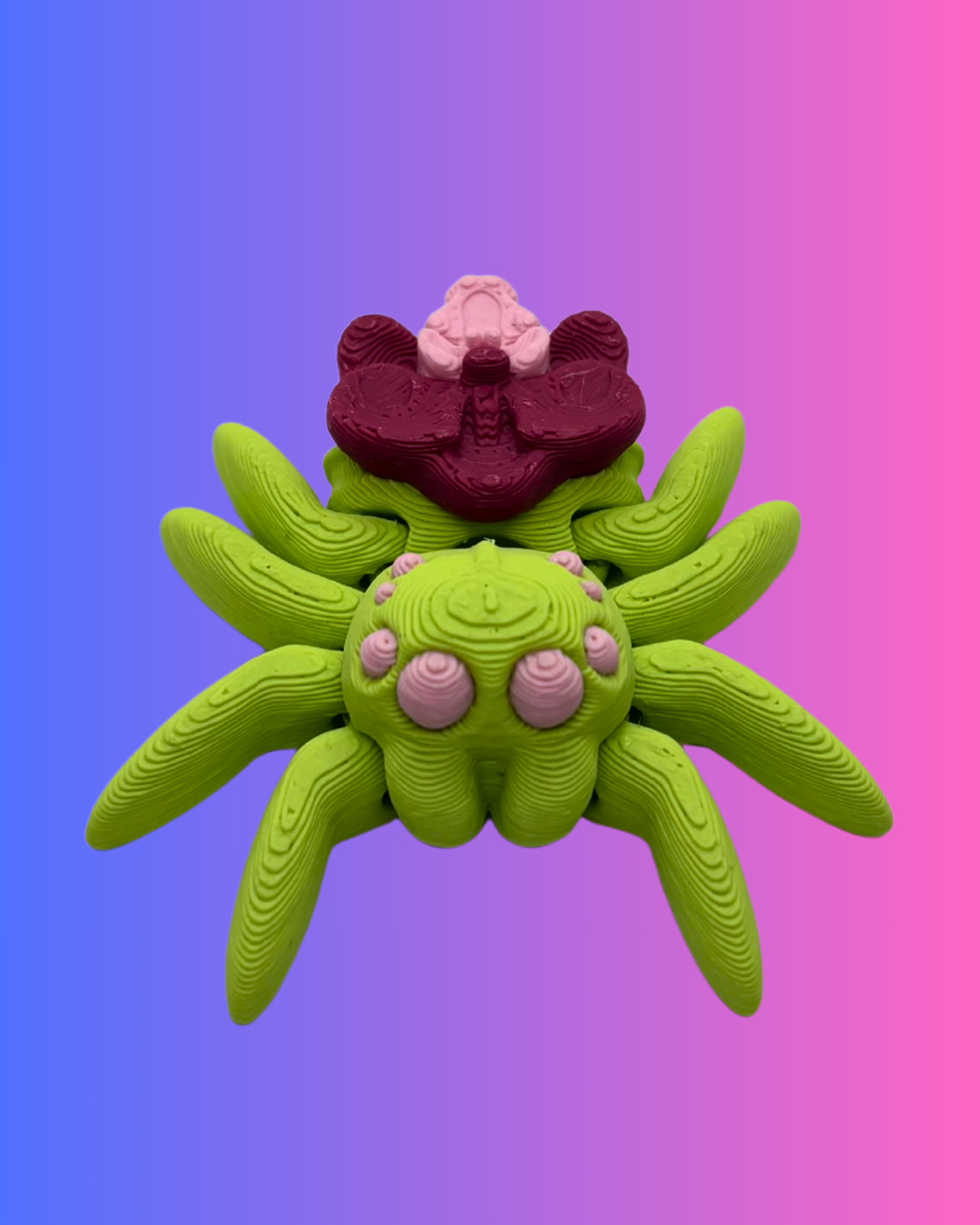 Small Orchid Spider