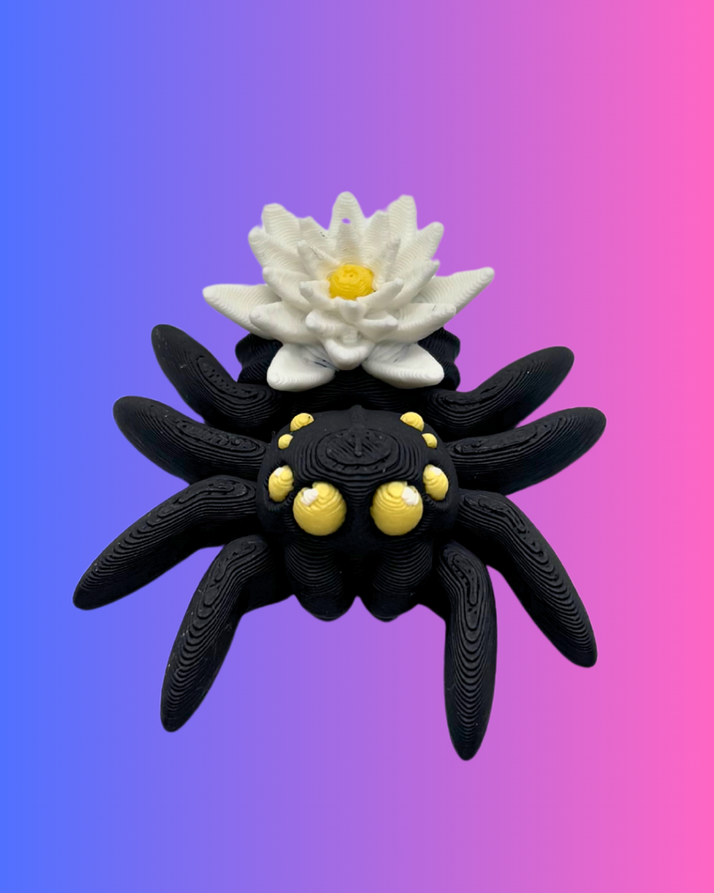 Small Water Lily Spider