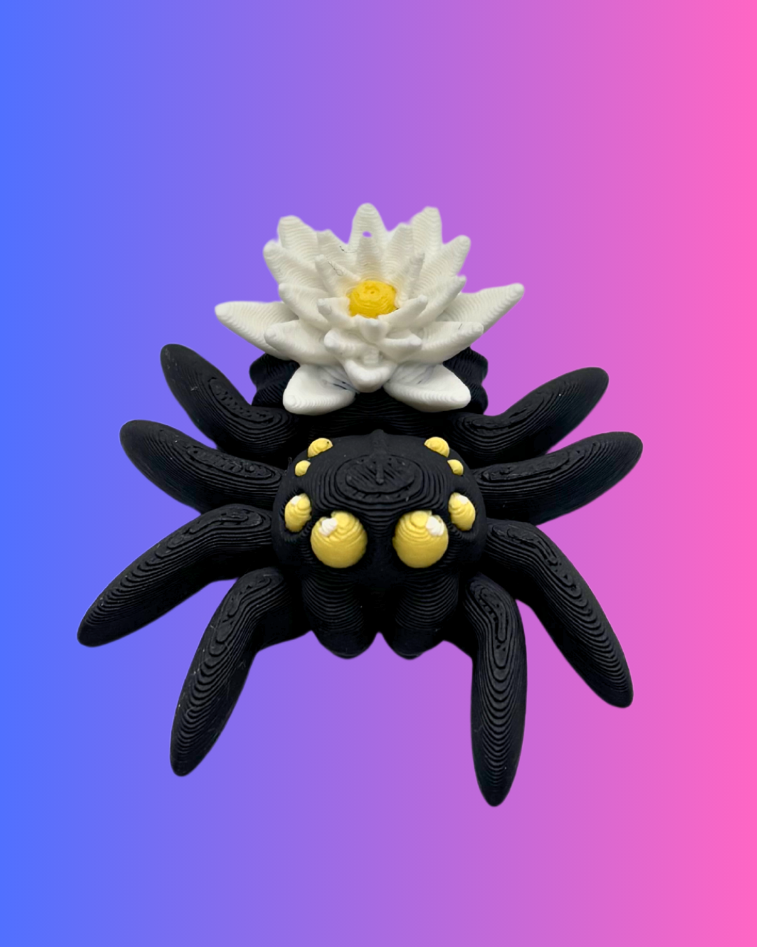 Small Water Lily Spider