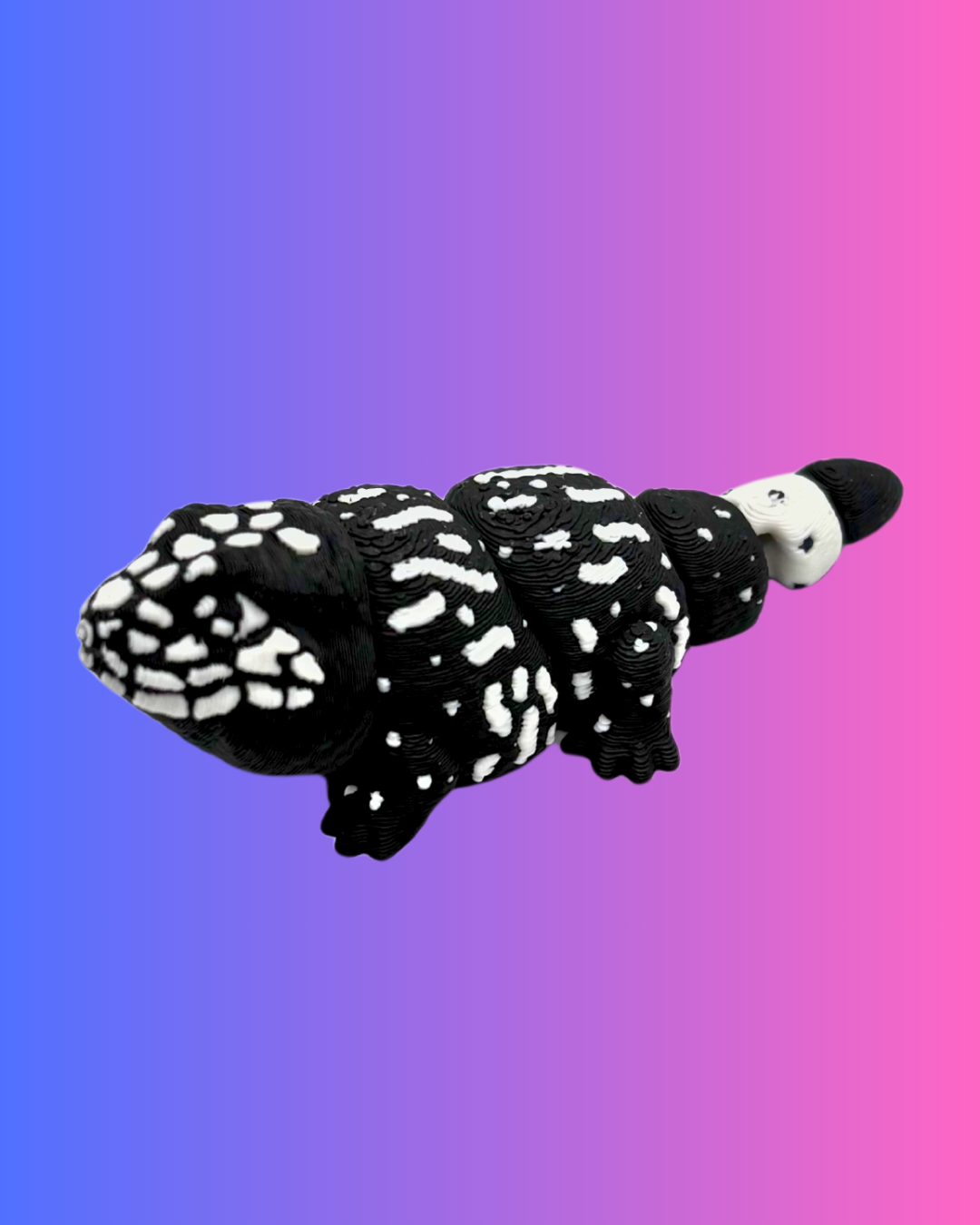 Mini Tegu