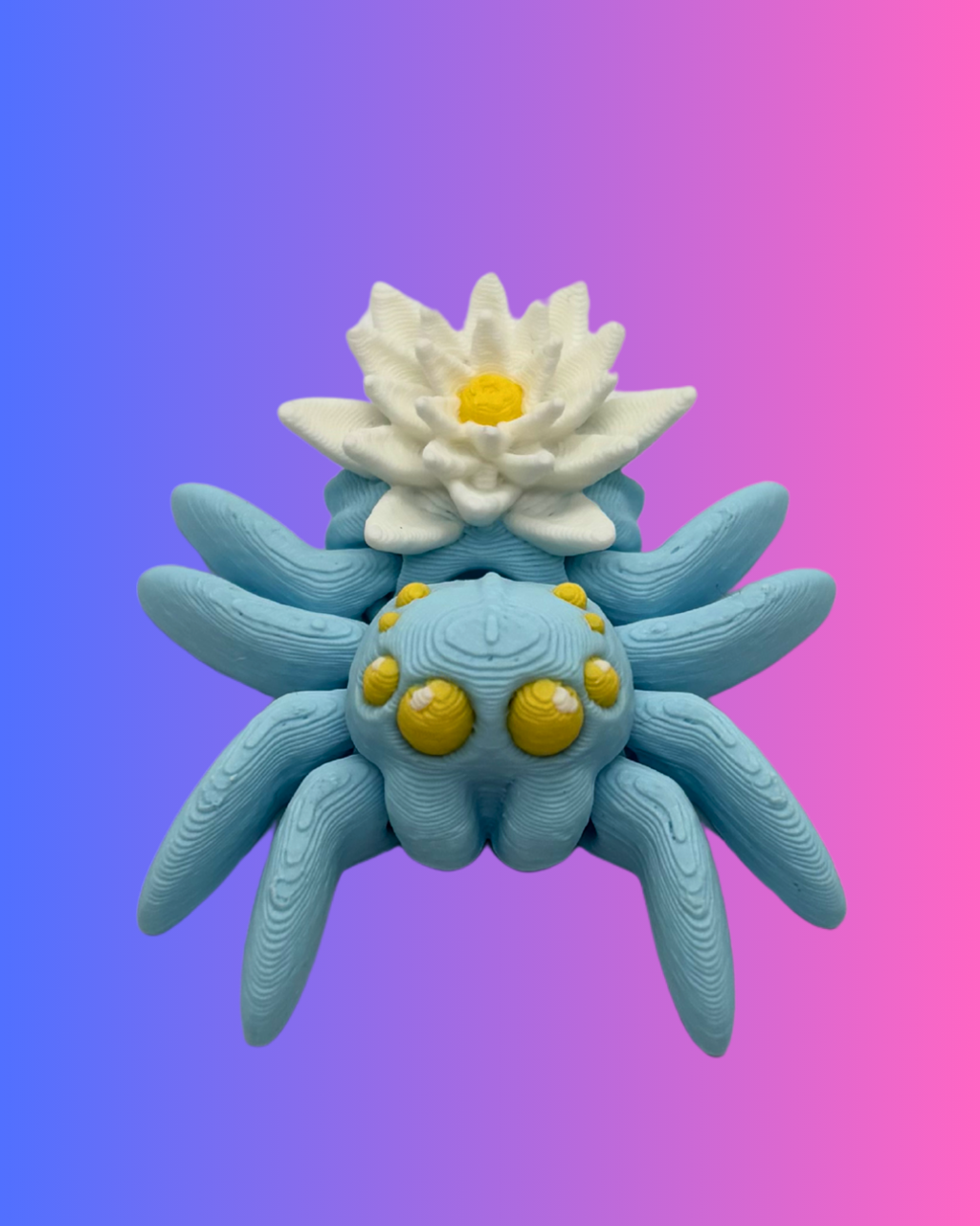 Small Water Lily Spider