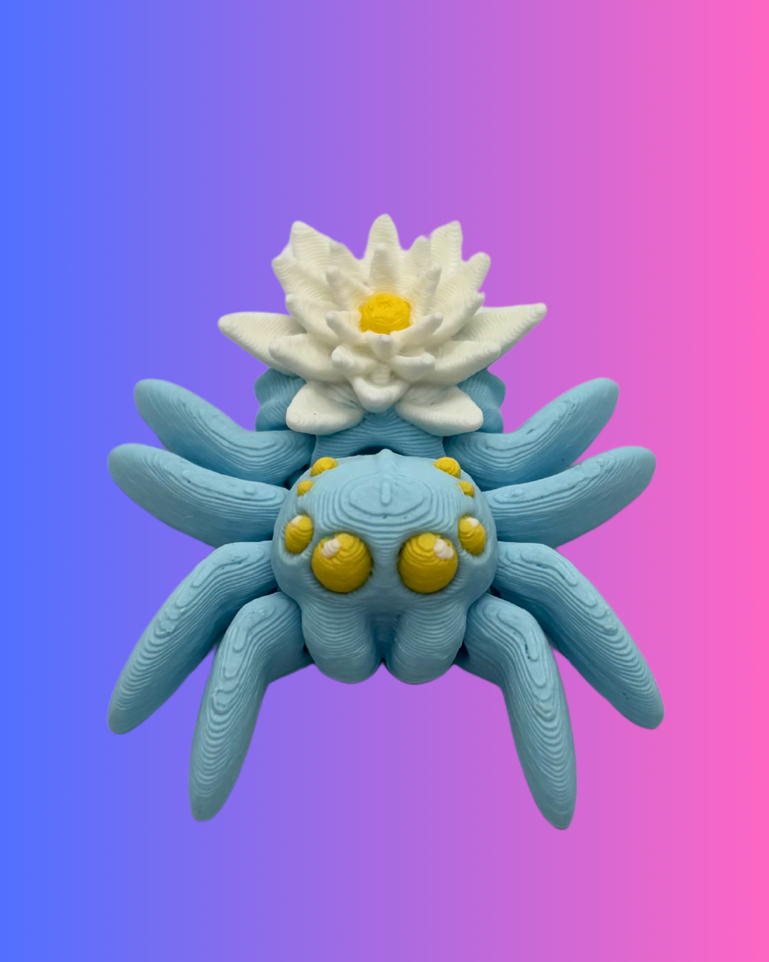 Small Water Lily Spider