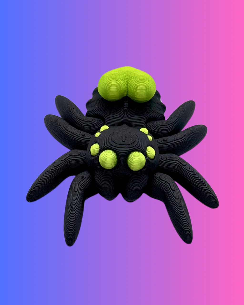 Small Heart Spider