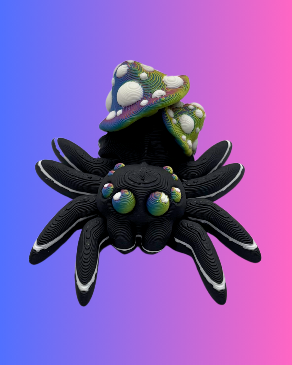 Small Mushroom Spider