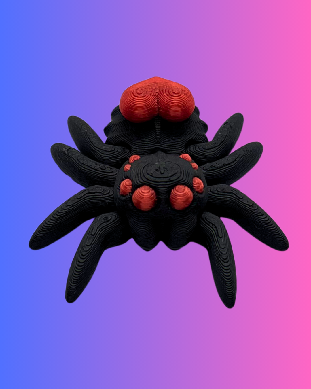 Small Heart Spider