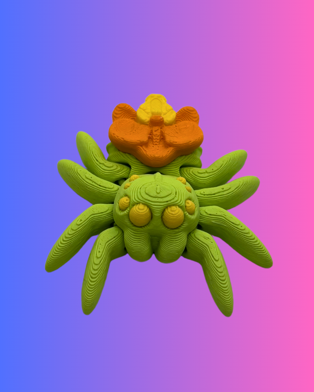 Small Orchid Spider