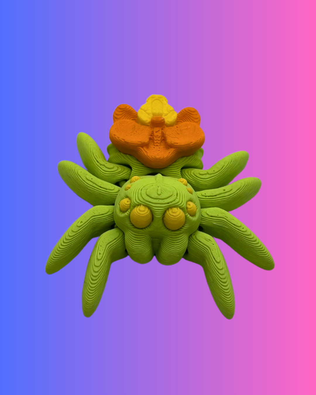 Small Orchid Spider