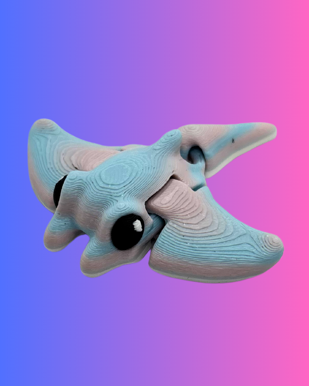 Mini Manta Ray