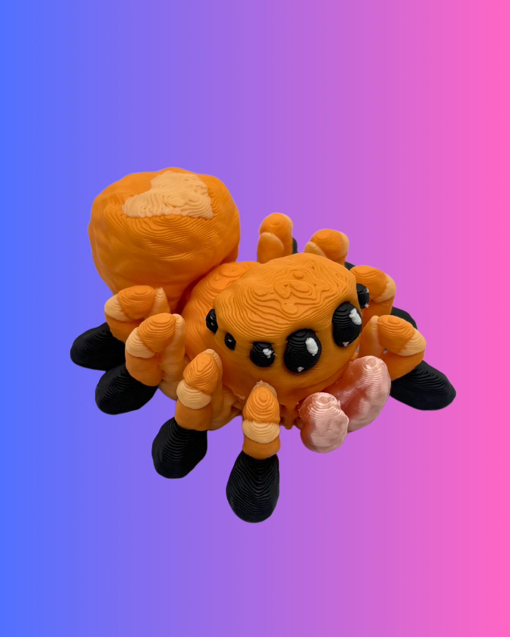 Small Jumping Spider